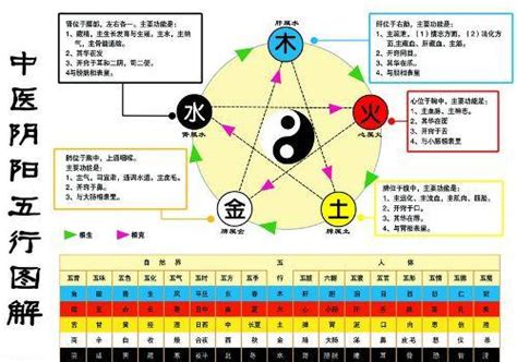 水和金的关系|水和金是相生还是相克